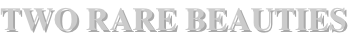 shapeimage_1_link_3